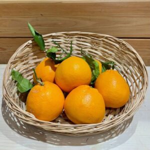 Oranges de Sicile