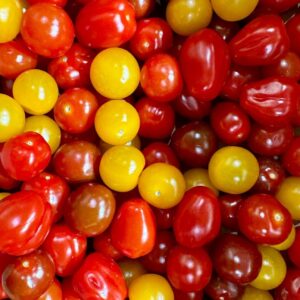 Tomates Cœur Pigeon Multicolores