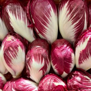 Endive Carmine