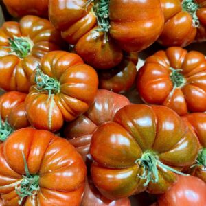 Tomates Noire de Crime