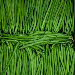 Haricots Verts